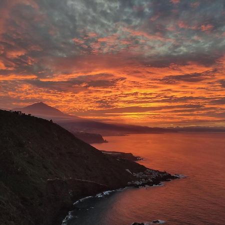 Best View Tenerife Vivienda Vacacional La Matanza De Acentejo Extérieur photo